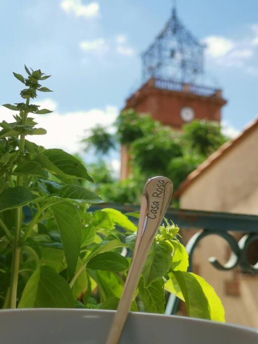 Casa Rosa, Un Petit Cocon Catalan Ortaffa Exterior foto
